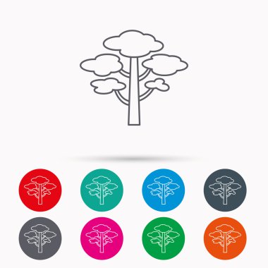 Çam ağacı simgesi. Orman ahşap işareti.