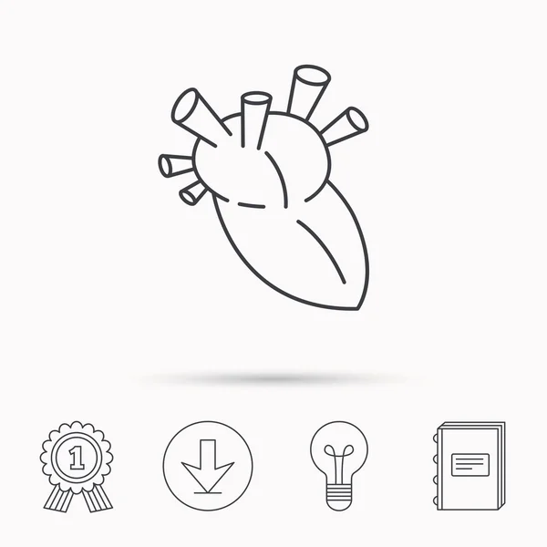 Heart icon. Human organ sign. Transplantation. — Stock Vector