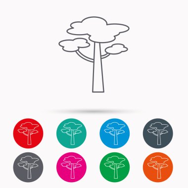 Çam ağacı simgesi. Orman ahşap işareti.