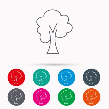 Akçaağaç ağaç simgesi. Orman ahşap işareti.