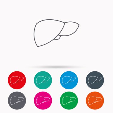 Karaciğer simgesi. Nakli organ işareti.