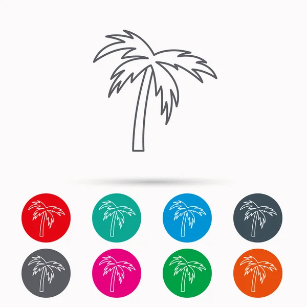 Palm tree icon. Travel or vacation symbol. — Stock Vector