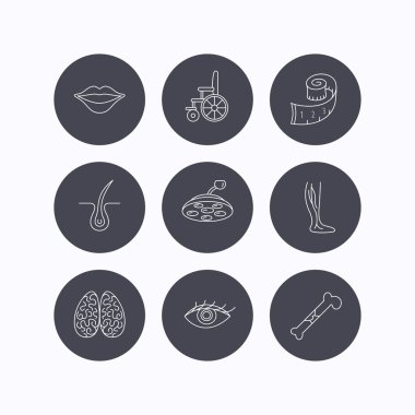 Göz, Nöroloji beyin ve damar varis simgeleri.