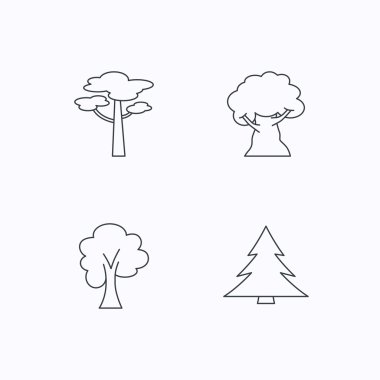 Çam ağacı, akçaağaç ve meşe ağacı simgeleri.