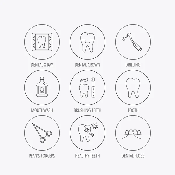 Stomatology, tooth and dental crown icons. — Stock Vector