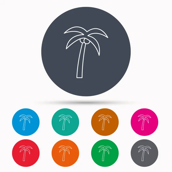 Palm tree icon. Travel or vacation symbol. — Stock Vector