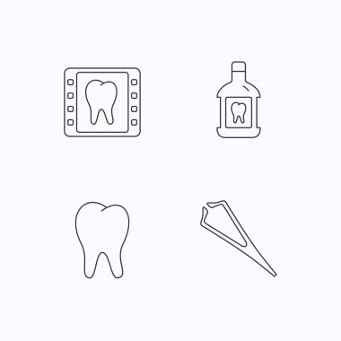 Diş macunu, diş ve diş röntgen simgeler.