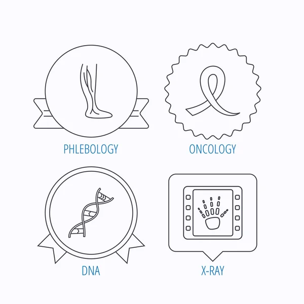 Phlebology, Dna ve x-ışını simgeleri. — Stok Vektör