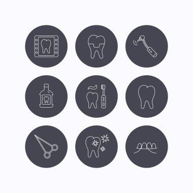 Stomatology, diş ve diş taç simgeler.