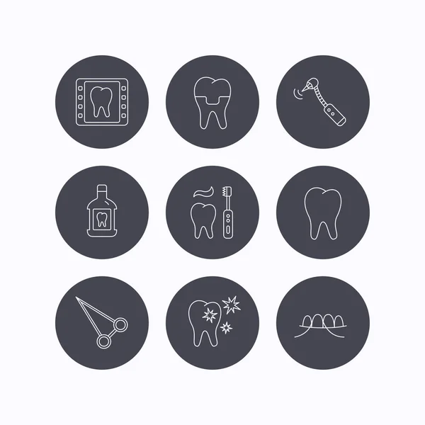 Icônes Stomatologie, dent et couronne dentaire . — Image vectorielle