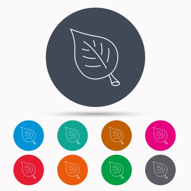 Yaprak simgesi. Doğal çevre işareti.