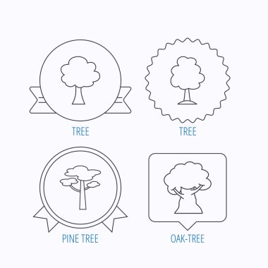 Çam ağacı, meşe ağacı simgeler.