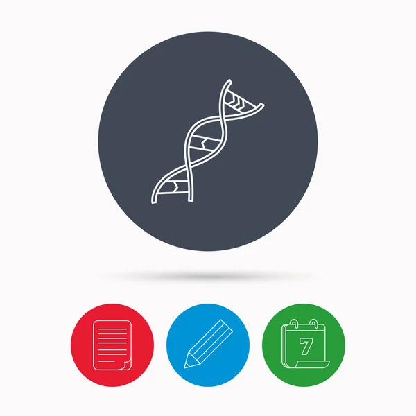 Εικονίδιο του DNA. Γενετική δομή σημάδι. — Διανυσματικό Αρχείο
