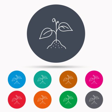 Yaprakları simgesiyle bitki. Tarım işareti.