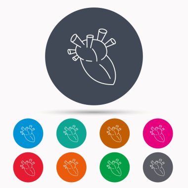 Kalp simgesi. İnsan organ işareti. Nakli.