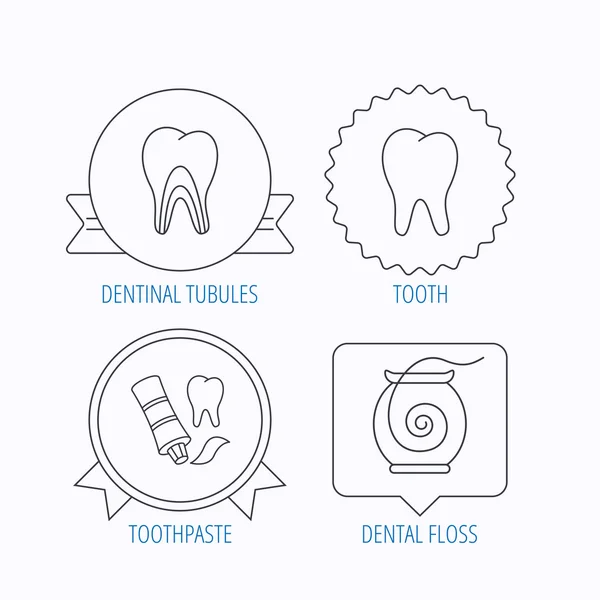 Tooth, dentinal tubules and dental floss icons. — Stock Vector