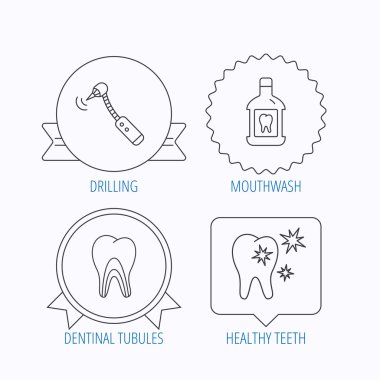 Diş, diş macunu ve dentinal tübüllerin simgeler.