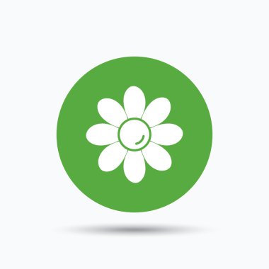 Çiçek simgesi. Çiçekçi bitki yaprakları işareti ile.