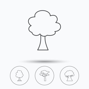 Çam ağacı, meşe ağacı simgeler.