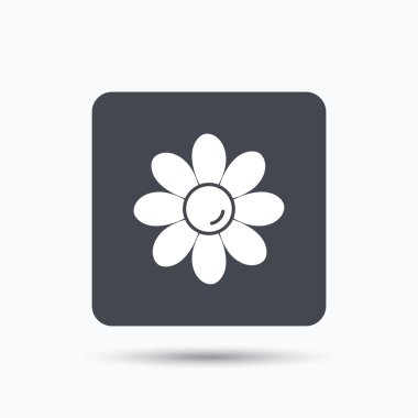 Çiçek simgesi. Çiçekçi bitki yaprakları işareti ile.