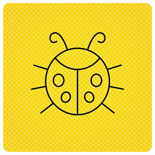 Icône coccinelle. Ladybird signe d'insecte . — Image vectorielle