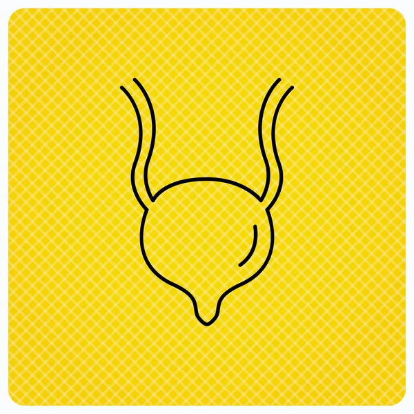 Icono de vejiga urinaria. Signo del órgano del cuerpo humano . — Vector de stock