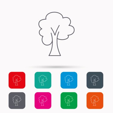 Akçaağaç ağaç simgesi. Orman ahşap işareti.