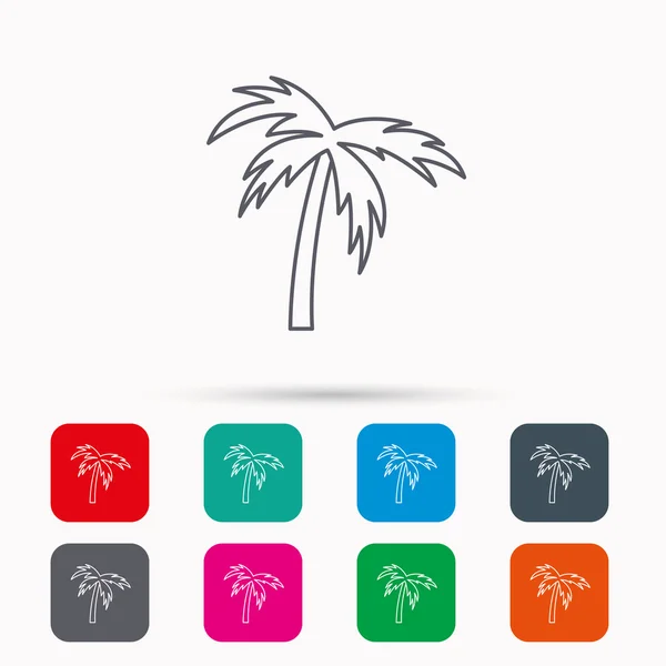 Palm tree icon. Travel or vacation symbol. — Stock Vector