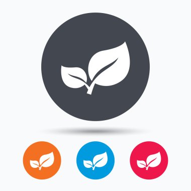 Yaprak simgesi. Taze organik ürün işareti.