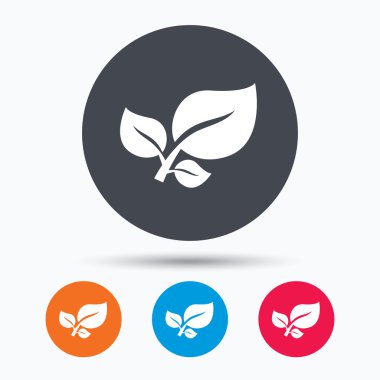 Yaprak simgesi. Taze organik ürün işareti.