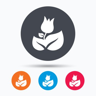 Gül çiçek simgesi. Çiçekçi bitki yaprağı işareti ile.