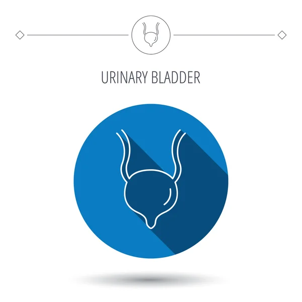Icône de vessie urinaire. Corps humain organe signe . — Image vectorielle