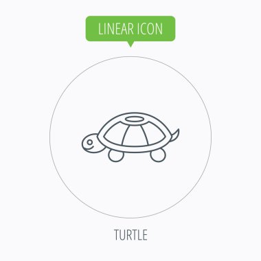 Kaplumbağa simgesi. Kaplumbağa işareti.