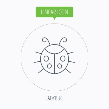 Uğur böceği simgesi. Uğur böceği böcek işareti.