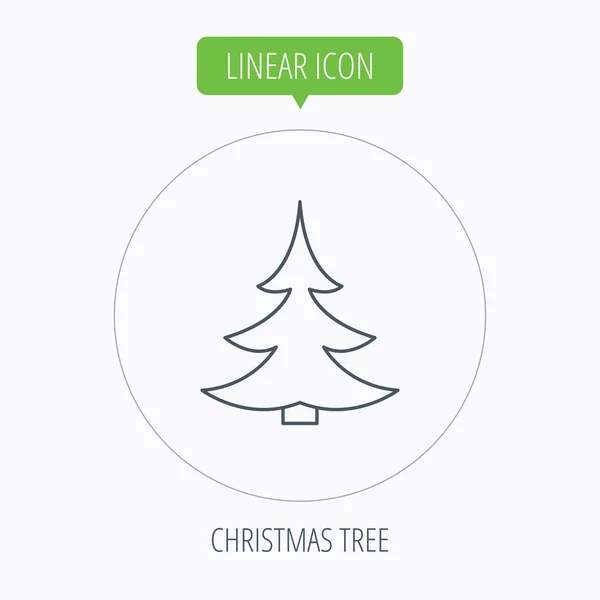 Karácsonyi fenyő fa ikonnal megjelölve. Lucfenyő jele. — Stock Vector