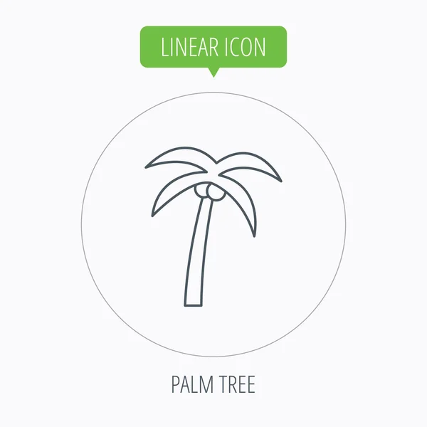 棕榈树图标。旅行或度假的符号. — 图库矢量图片