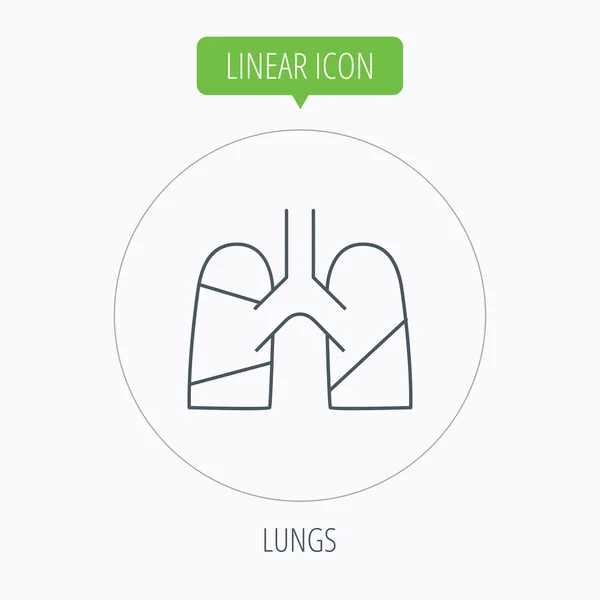 Ícone de pulmões. Sinal de órgão transplantado . —  Vetores de Stock