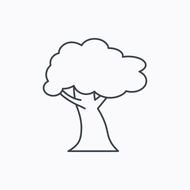 Meşe ağacı simgesi. Orman ahşap işareti.