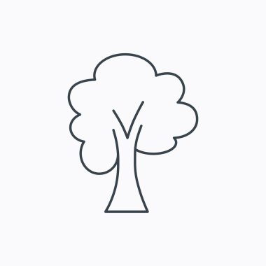 Akçaağaç ağaç simgesi. Orman ahşap işareti.