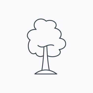 Akçaağaç ağaç simgesi. Orman ahşap işareti.