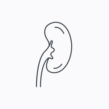 Böbrek simgesi. Nakli organ işareti.