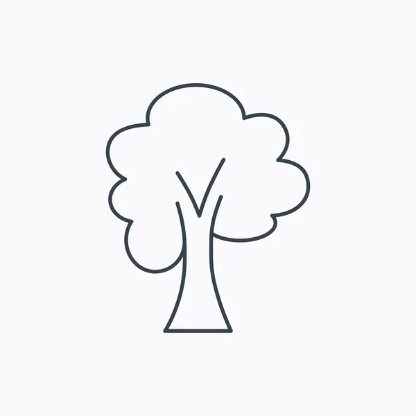 Icono del árbol de arce. Bosque madera signo . — Vector de stock