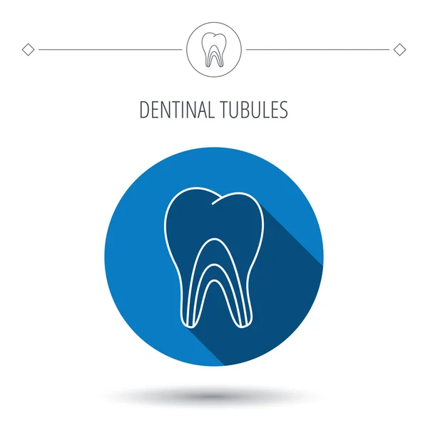 Dentinal tubules icon. Tooth medicine sign. — Stock Vector