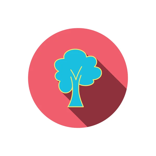 Icono del árbol de arce. Bosque madera signo . — Vector de stock