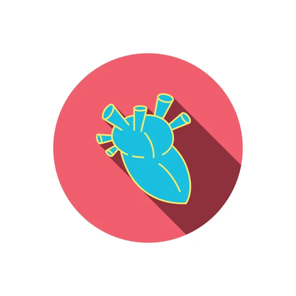 Heart icon. Human organ sign. Transplantation. — Stock Vector