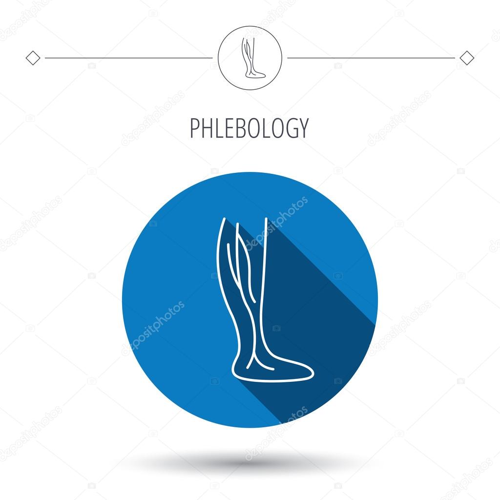 Phlebology icon. Leg veins sign.