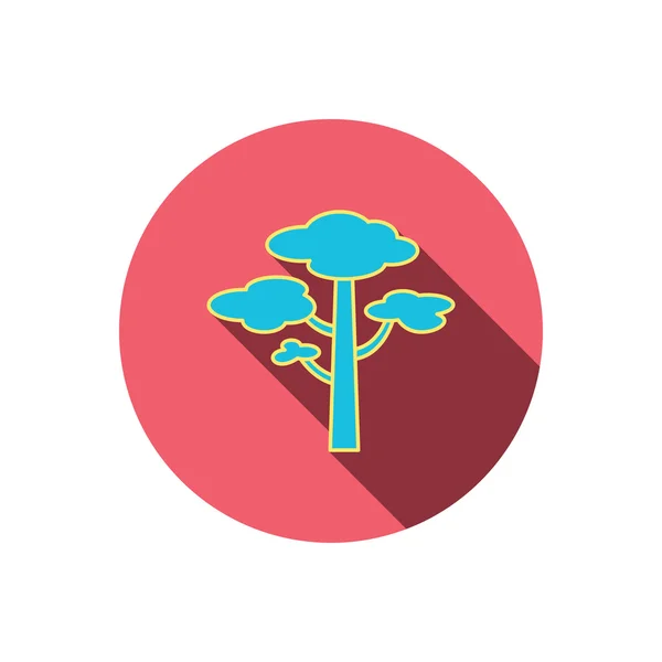 Icono del árbol de pino. Bosque madera signo . — Vector de stock