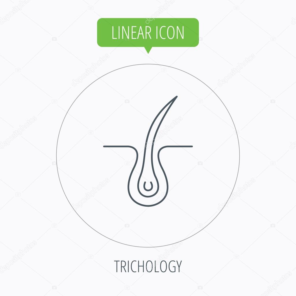 Trichology skin icon. Dermatology hair sign.