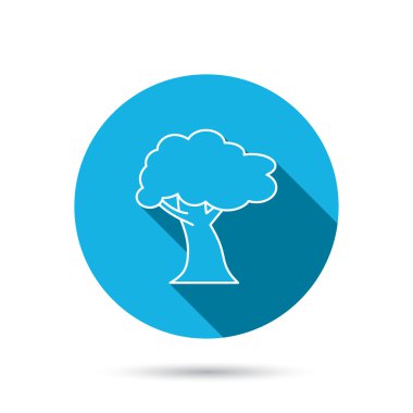 Meşe ağacı simgesi. Orman ahşap işareti.