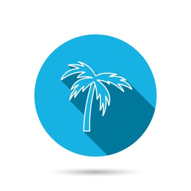 Palmiye ağacı simgesi. Seyahat ya da tatil sembolü.